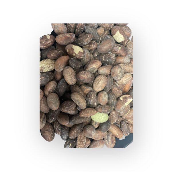 FRESH ORGANIC WEST AFRICAN BITTER KOLA NUT-GARCINIA KOLA (OROGBO KOLA NUT) 1 Lb